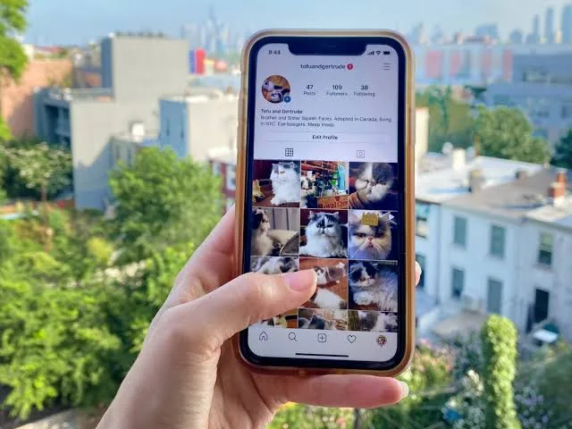 How to Use Instagram: Complete Beginner Guide (2026)