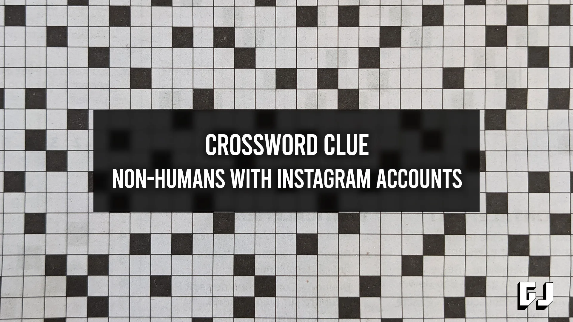 “Was Hot on Instagram” Crossword Clue: Answer Guide
